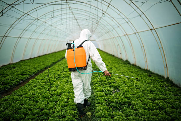 Best Pest Prevention Services  in Union City, TN