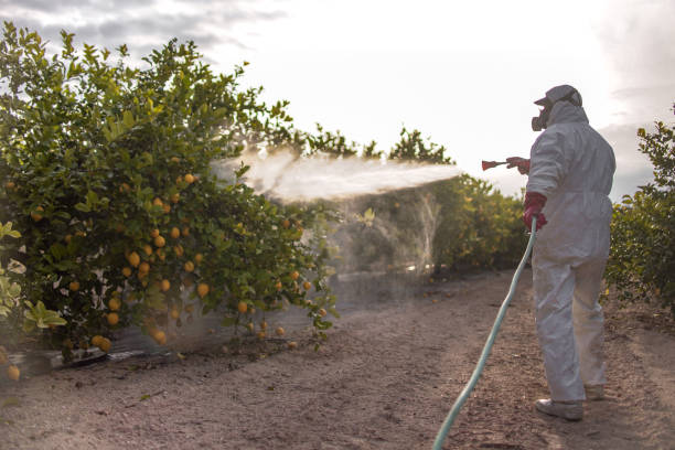 Reliable Union City, TN Pest Control Solutions